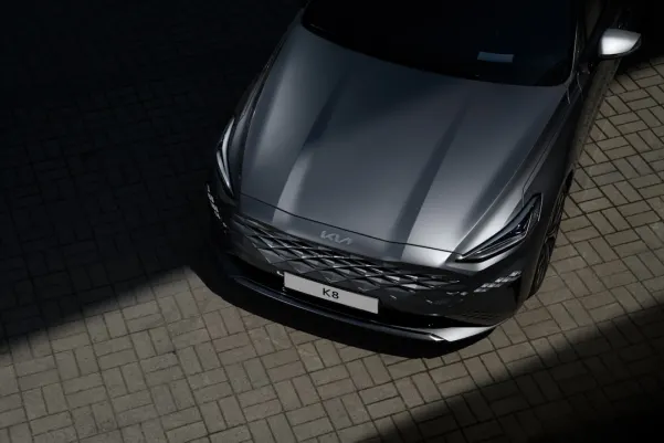 빙고빌리 카지노 안드로이드/iOS 앱